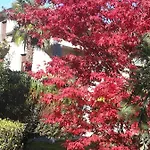 Ca' Dei Paoli Pieve Vergonte