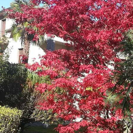 Ca' Dei Paoli Pieve Vergonte